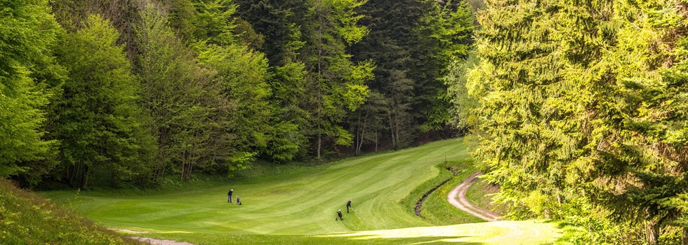 Danske golfbaner - Spil golf i Vejle Golf GolfersGlobe