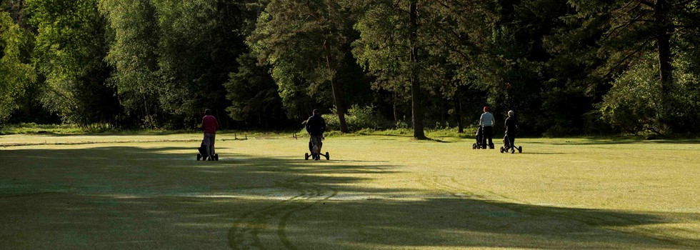 afhængige malt Fantastiske Danske golfbaner - spil green fee i Falster Golfklub - GolfersGlobe