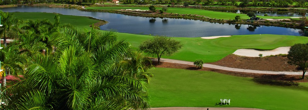 Tiburon Golf Club, Ritz-Carlton Golf Resort