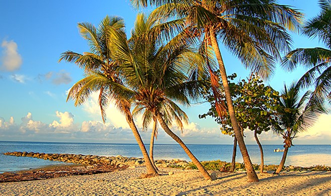 Video: Florida Keys er et besøg værd