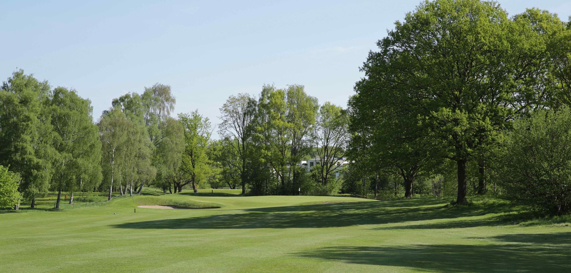 Mediate Hængsel køber Danske golfbaner - Spil golf i Rungsted Golf Klub - GolfersGlobe